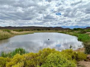 Farm For Sale in Ladismith Rural