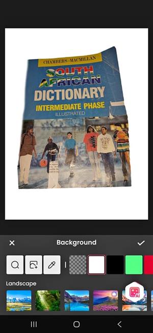 South African Dictionary,  specifically the Intermediate Phase Illustrated edition.