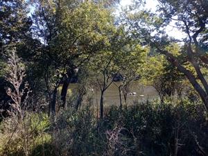 Prime Vacant Land with Full River View – Vaal de Grace Nature Estate, Parys!
