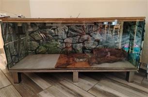 Reptile setup