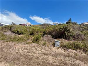 BEACHFRONT STAND PARADISE BEACH