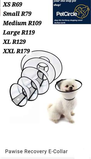 Recovery e-collar for pets