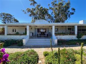 Peaceful Dual Homestead with River Views & Off-Grid Living in Hopefield