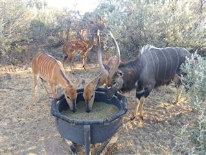 Hoogte verstelbare rol dip voerbak vir alle Wild en Vee. Dip diere betyds teen bosluise en parasiet