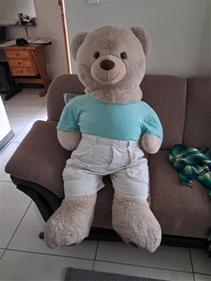Large teddy bear