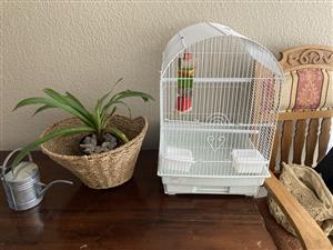 Brand new budgie cage will all the bells and whistles