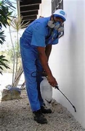 Pest Control, Fumigation And Rodent Control