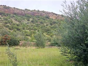 Vacant Land Residential For Sale in Ladybrand