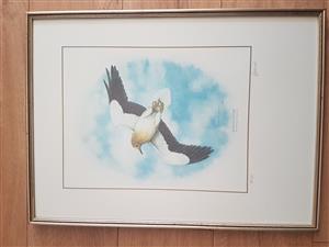 Geoffrey Lockhood Egyptian Vulture Water Painting. Signed
