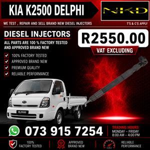 Kia_K2500_Delphi_Injectors_On_Repair 