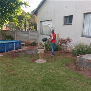 Looking for job as gardener and accommodation 