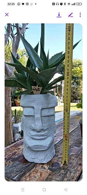 Various Heads with plants