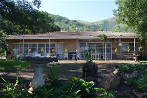 Private Mountain View