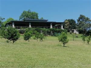 Small Holding For Sale in Drummond