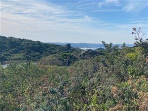 Plot in an Up-Market Estate