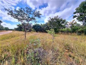 Take life at your own pace building your dream home on this 1ha+ stand!