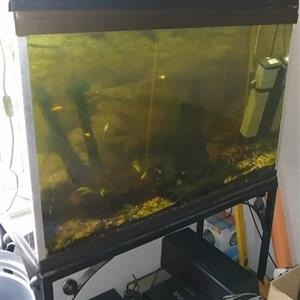 Fish Tanks and extras for sale.