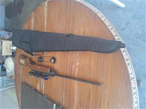 Air rifle/pellet gun