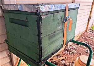 Bee hive wiht stand
