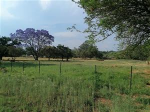 Business For Sale in Modimolle