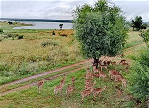 Bargain of a Lifetime!