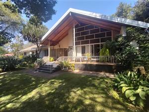 Big family  house with student accommodation