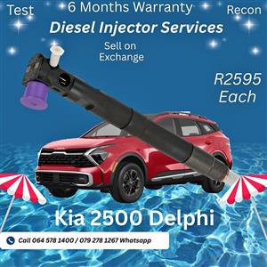 Kia 2500 Delphi diesel injectors