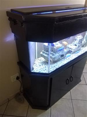 Complete fish tank for sale.  