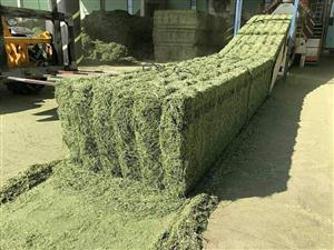 Lucerne Hay Bales – Bulk Orders Welcome
