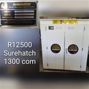 Surehatch incubater com1300