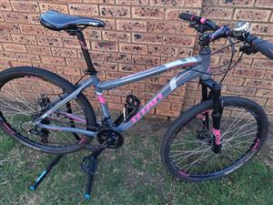 26" Titan Rogue Calypso Nova 2020