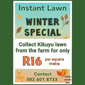Instant Lawn Special