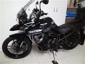 Triumph Tiger XRX 800