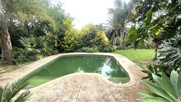 Prime Large Stand with Excellent Development Potential