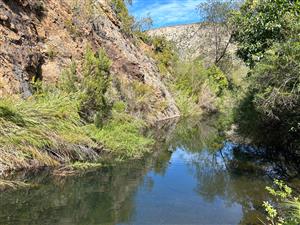 Farm For Sale in Joubertina Rural