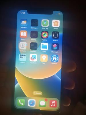 Iphone x