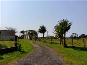 Farm For Sale in East London Rural