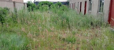 Investment Opportunity for Cash Buyers