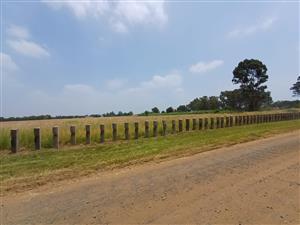 Design Your Own Picture Perfect Home On A Magnificent Piece Of Land. Close To Road.