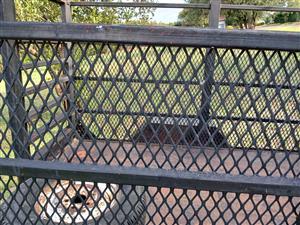 Cattle trailer 