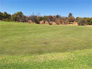 Vacant Land Residential For Sale in Koro Creek Golf Estate