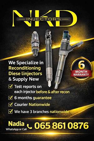 Reconditioned injectors for sale or recon your own.