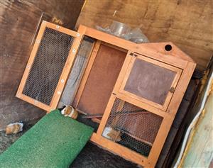 Rabbit and guinea pig houses