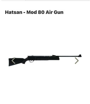 Air rifle - HATSAN