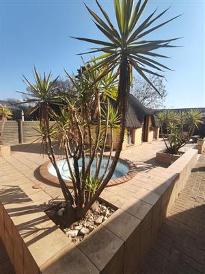 Perfectly priced family home, located at prime spot close to Sasolburg boulevard.
