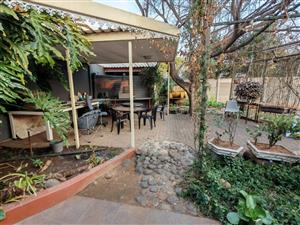 Bargain of the Week!