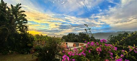 House For Sale in Wilderness Central