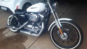 Harley Davidson XL1200 sportster custom 