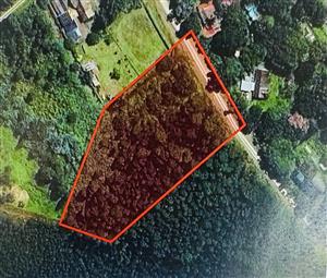 Expansive 9,551 m² Vacant Land on Dalry Road, Winterskloof – Your Dream Plot Awaits!