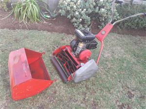 Professional Lawnmover